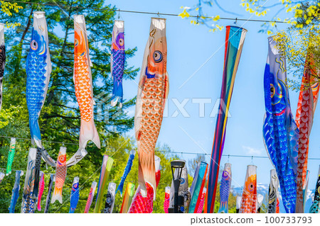 [Early summer material] Carp streamers swimming in the sky [Nagano] 100733793