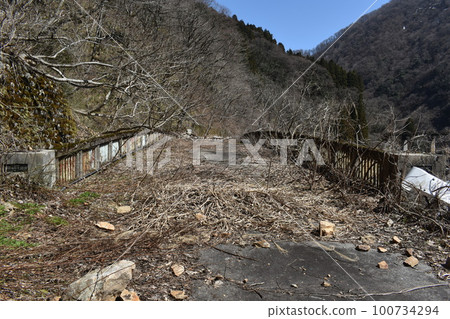 廢棄道路上的橋樑 100734294