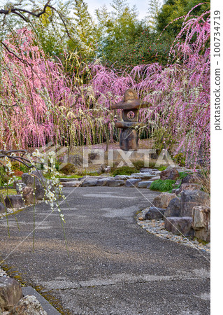 城南宮花園 城南宮花園 100734719