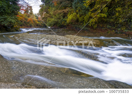 秋季養老谷/養老河 Awamata 瀑布上游側/養老河，Isumi，日本 100735833