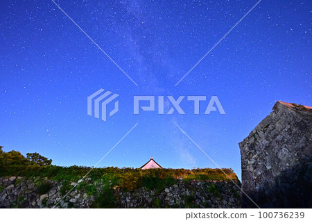 Sasayama Castle Ruins and the Milky Way 100736239