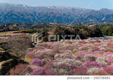 2023 Inabe Umezono Rev.2 100736981