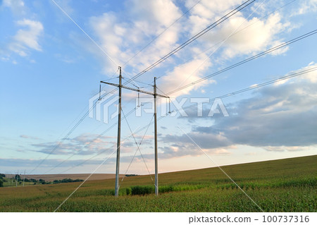 Tower with electric power lines for transfering high voltage electricity located in agricultural cornfield. Delivery of electrical energy concept. Tower with electric power lines for transfering high voltage electricity located in agricultural cornfield. Delivery of electrical energy concept. 100737316