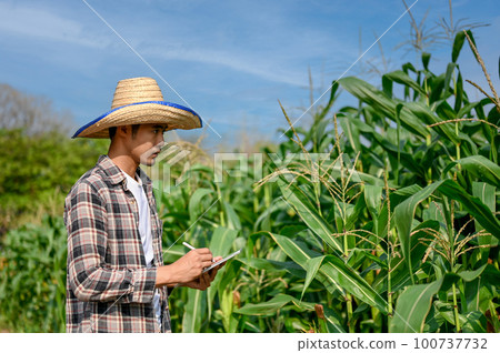Young farmer using digital tablet to keep up the process in corn planting. 100737732