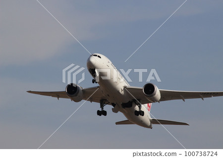 Itami Airport Take off Departure Itami Airport Take off Departure 100738724