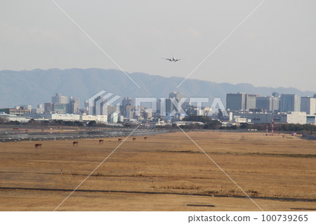 Osaka International Airport Landing goal Osaka International Airport Landing goal 100739265