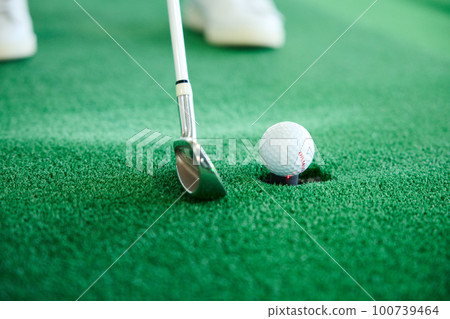 打高爾夫球的女人 100739464