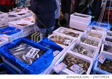 鮮魚市場早市風光 鮮魚市場早市風光 100739918