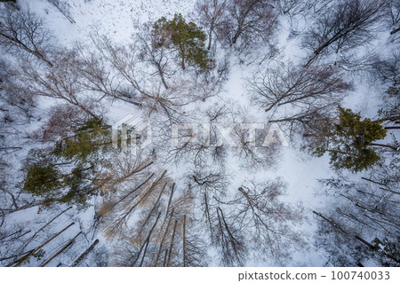 Aerial view of a winter pine forest. Top view of snow-covered pine trees. Beautiful winter forest landscape. Aerial view of a winter pine forest. Top view of snow-covered pine trees. Beautiful winter forest landscape. 100740033