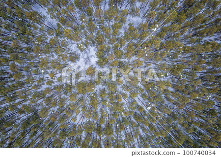 Aerial view of a winter pine forest. Top view of snow-covered pine trees. Beautiful winter forest landscape. 100740034