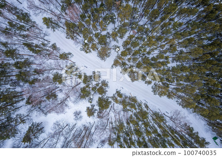 Aerial view of the road in the winter forest with high pine or spruce trees covered by snow. Driving in winter. Aerial view of the road in the winter forest with high pine or spruce trees covered by snow. Driving in winter. 100740035