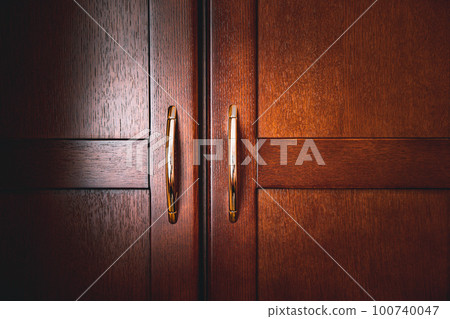 Closet door 100740047