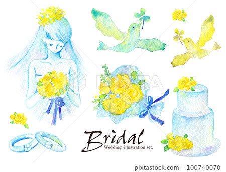 Wedding bridal watercolor illustration set 100740070