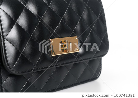 beautiful leather fashion bag on white background beautiful leather fashion bag on white background 100741381
