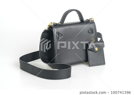 beautiful leather fashion bag on white background beautiful leather fashion bag on white background 100741396