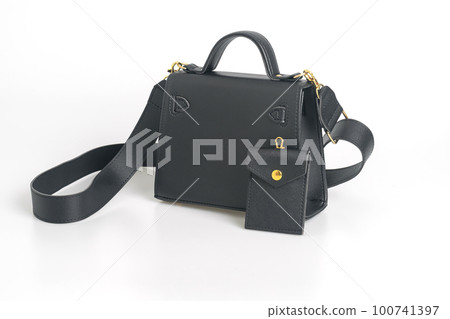 beautiful leather fashion bag on white background beautiful leather fashion bag on white background 100741397