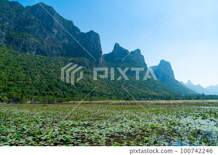 Sam Roi Yot Freshwater Marsh or Bueng Bua Khao Sam Roi Yot National Park 100742246