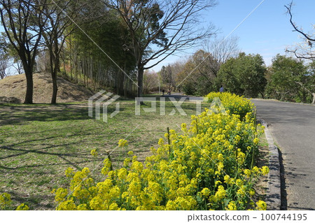  Tsugaike公園 100744195