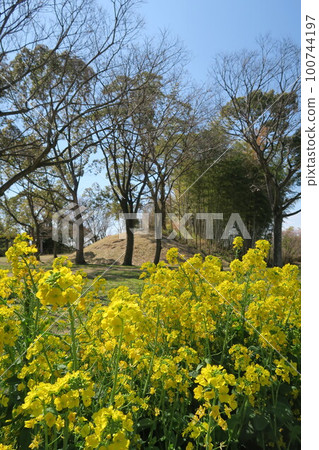  Tsugaike公園 100744197