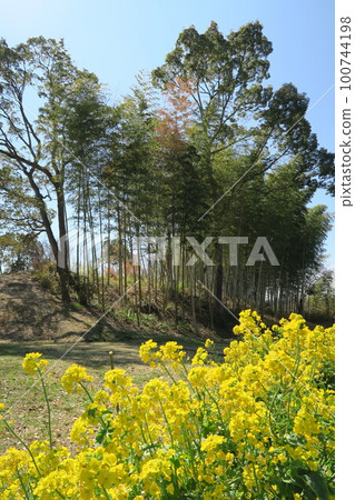  Tsugaike公園 100744198