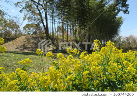  Tsugaike公園 100744200