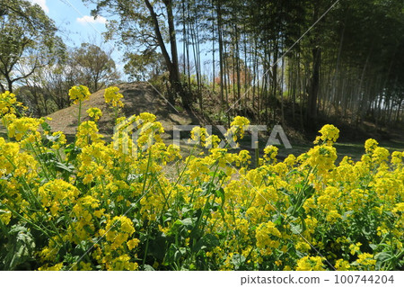  Tsugaike公園 100744204