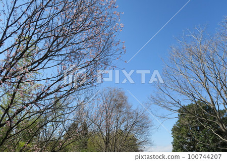  Tsugaike公園 100744207