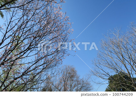  Tsugaike公園 100744209