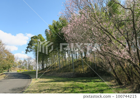  Tsugaike公園 100744215