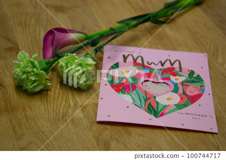 Mother's Day  100744717