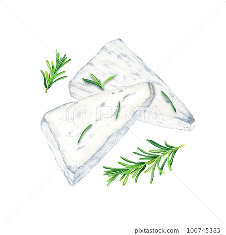 Greek feta cheese slices and rosemary herb composition. Watercolor illustration isolated on a white background 100745383