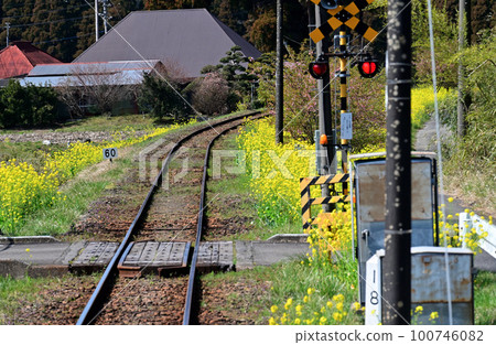 Isumi Railway along the Nanohana Line Isumi Railway along the Nanohana Line 100746082