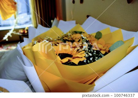 Blooming sunflowers for marriage proposal with white background 100746337