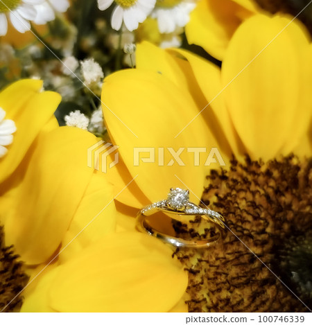 Engagement diamond ring closeup shot in sunflowers 100746339