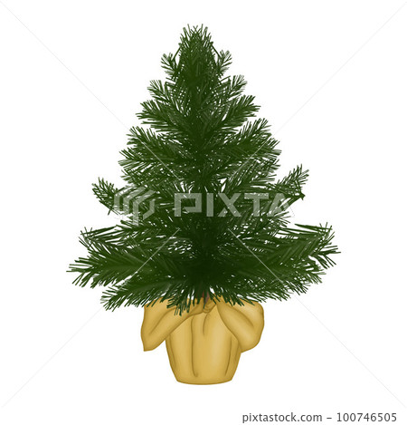 Pine tree in the pot winter design element for pattern, decoration, planner sticker, sublimation. Pine tree in the pot winter design element for pattern, decoration, planner sticker, sublimation. 100746505