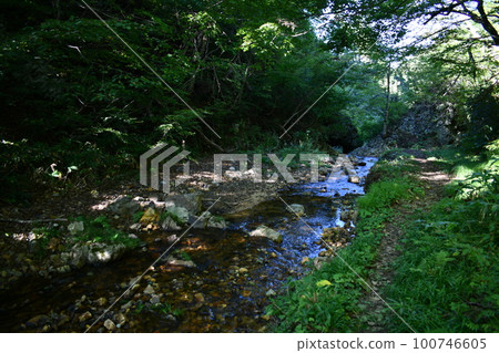 Behind Kuguri Falls, a cool and refreshing river flows under the shade of trees. 100746605