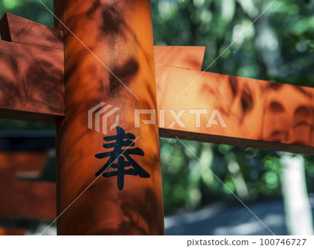 Shadows of leaves on the torii gate 100746727