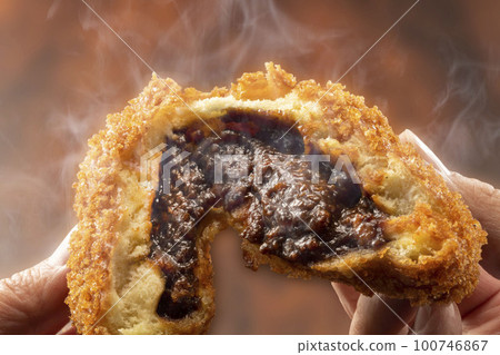 美味的咖哩麵包 美味的咖哩麵包 100746867