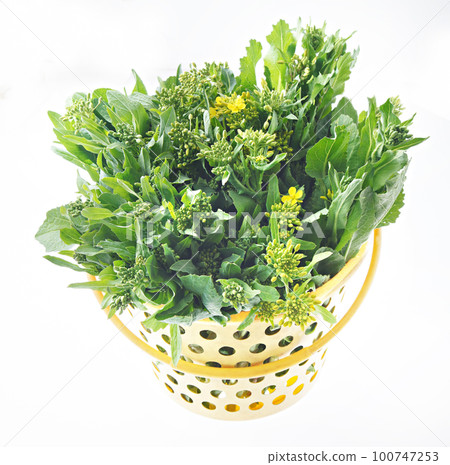 Nahana 白色背景圖像 Nahana 白色背景圖像 100747253