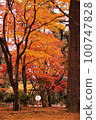 Autumn leaves of Kenrokuen 100747828