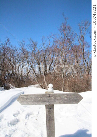 Akagi mountain 100748221