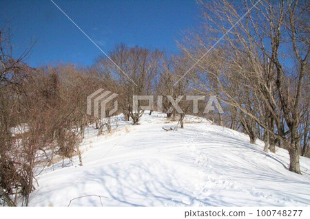 赤城山 赤城山 100748277