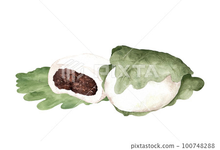 Kashiwa mochi and Kashiwa leaf watercolor painting 100748288