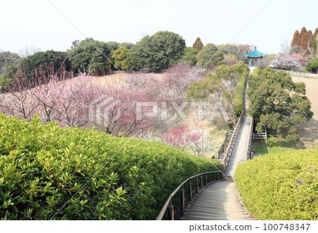 Ishigaya Park Meisutei (Akashi City, Hyogo Prefecture) Ishigaya Park Meisutei (Akashi City, Hyogo Prefecture) 100748347