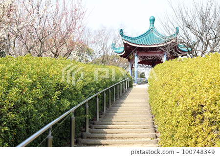 石谷公園名水亭(兵庫縣明石市) 石谷公園名水亭(兵庫縣明石市) 100748349