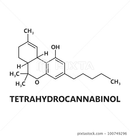 Tetrahydrocannabinol cannabinoid molecule. Cannabis psychoactive drug molecule education scheme, medical cannabinoid compound atomic composition or weed biochemical vector chemistry biomolecule model 100749296
