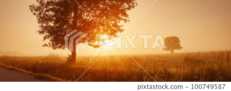 Sunrise on field in the foggy morning. 100749587