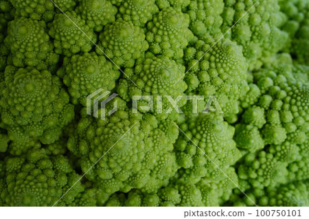 romanesco 特寫照片準備吃 romanesco 特寫照片準備吃 100750101