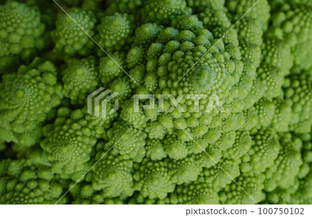 romanesco 特寫照片準備吃 100750102
