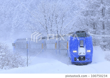 "Limited Express Sarobetsu" running on the Soya Main Line in winter "Limited Express Sarobetsu" running on the Soya Main Line in winter 100750234